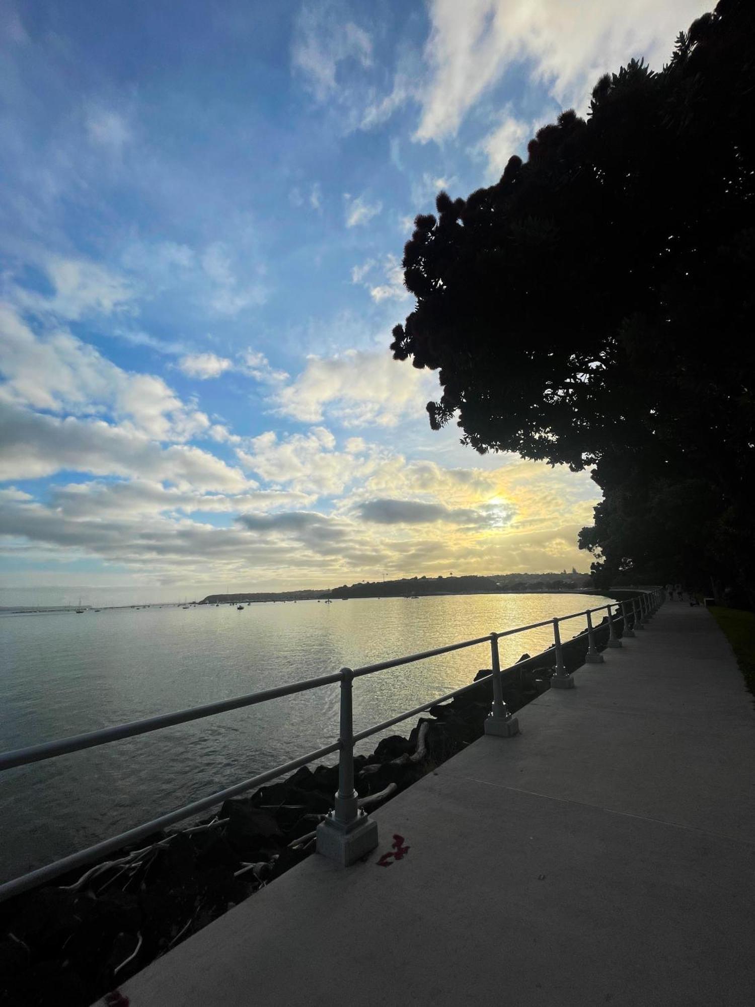 Luxury Apartment - Parking - Hot Tub - Stunning Views Auckland Exteriör bild